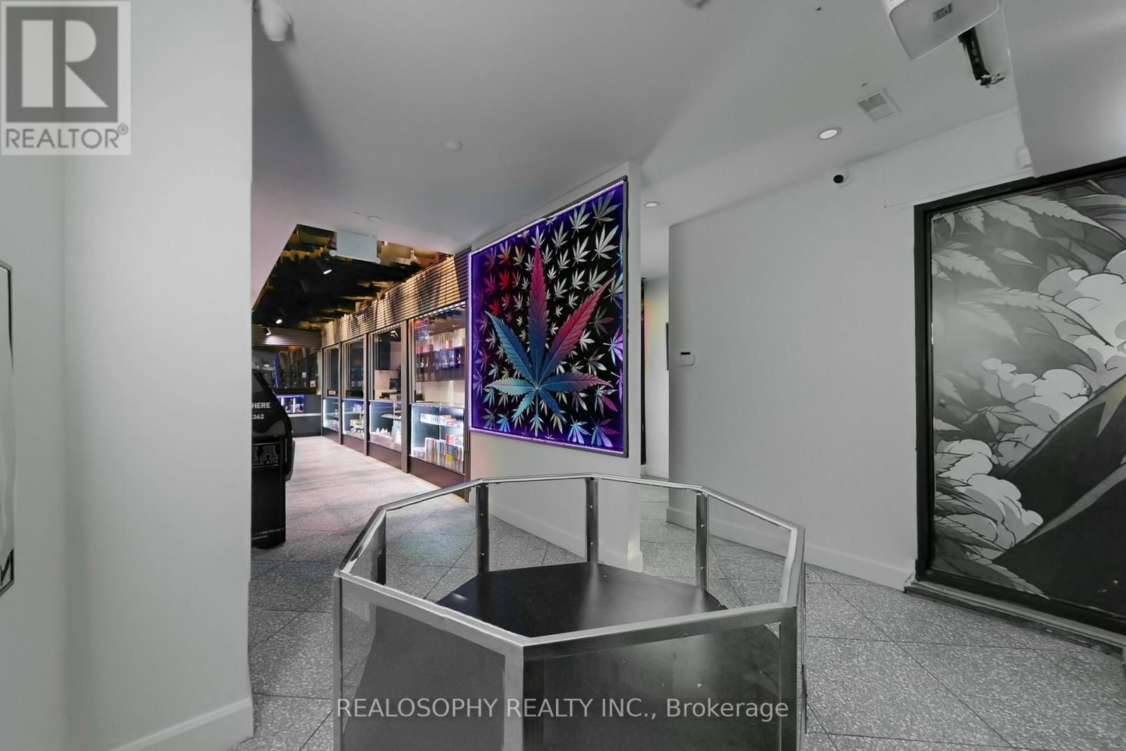 518 Queen Street W, Toronto, Ontario  M5V 2B3 - Photo 7 - C12551728