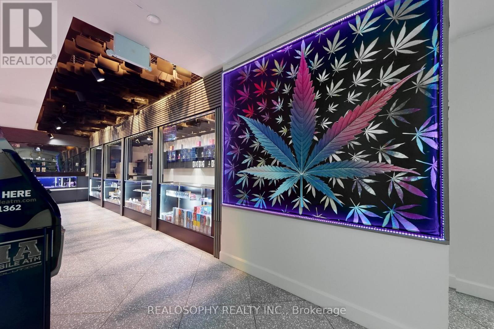 518 Queen Street W, Toronto, Ontario  M5V 2B3 - Photo 8 - C12551728