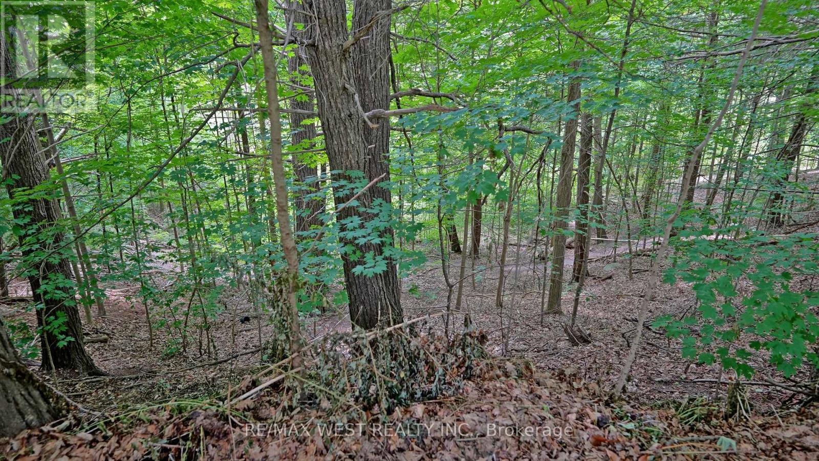 59 Lambert Road, Markham, Ontario  L3T 7E5 - Photo 44 - N12551770