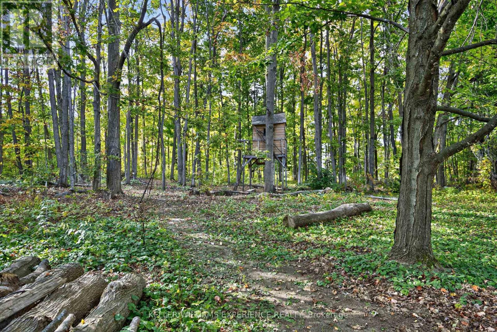 10 Conder Drive, Oro-Medonte, Ontario  L0K 1E0 - Photo 31 - S12551724