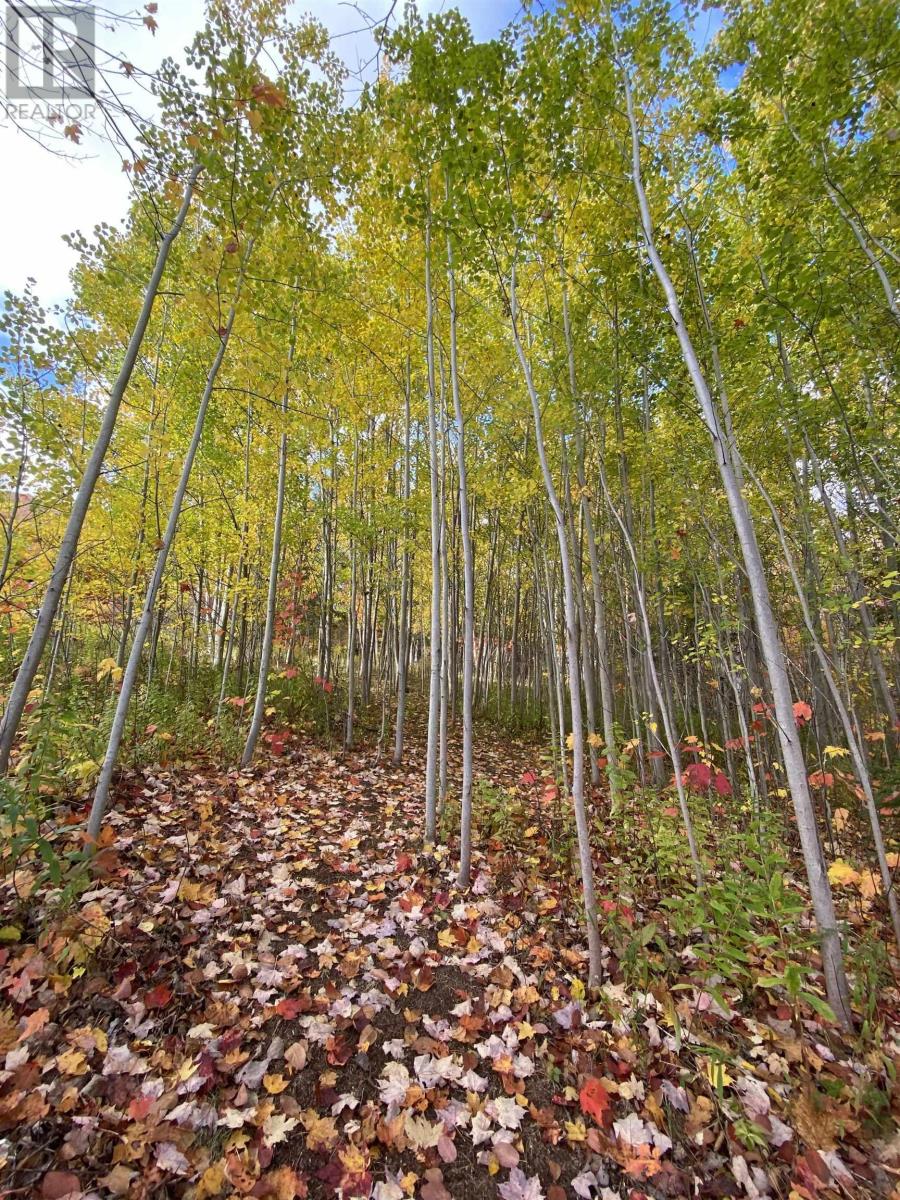 10783 Highway 105, Aberdeen, Nova Scotia  B0E 3M0 - Photo 18 - 202526530