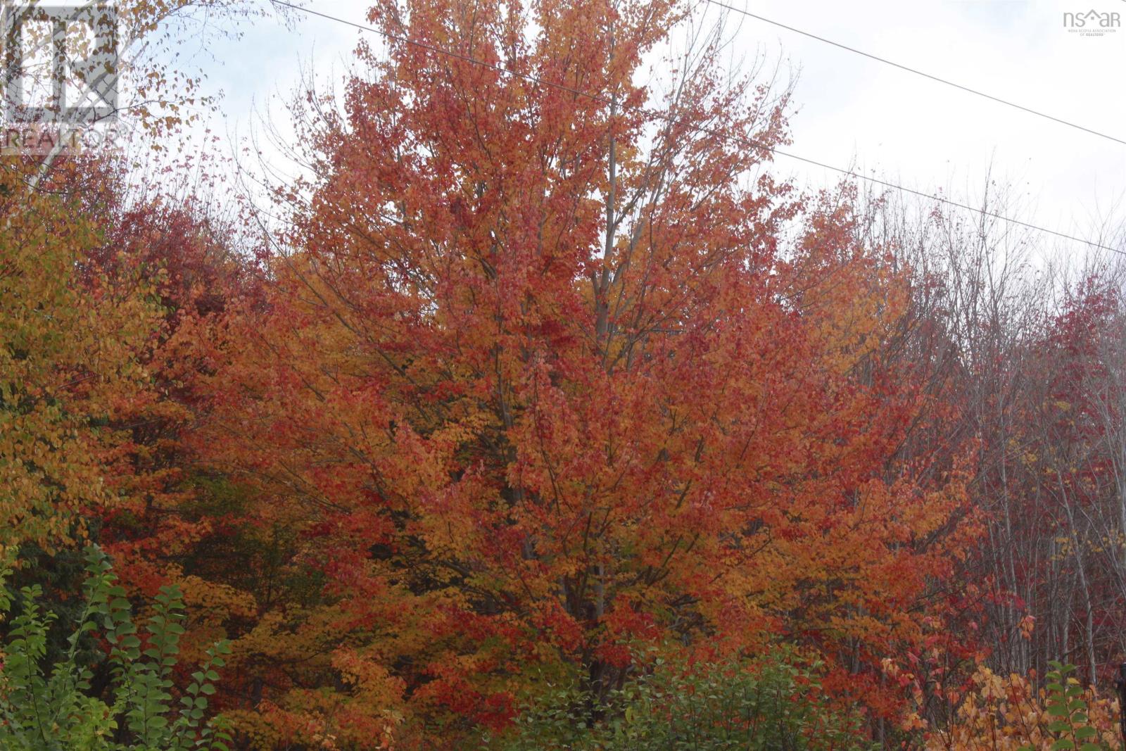 10783 Highway 105, Aberdeen, Nova Scotia  B0E 3M0 - Photo 48 - 202526530