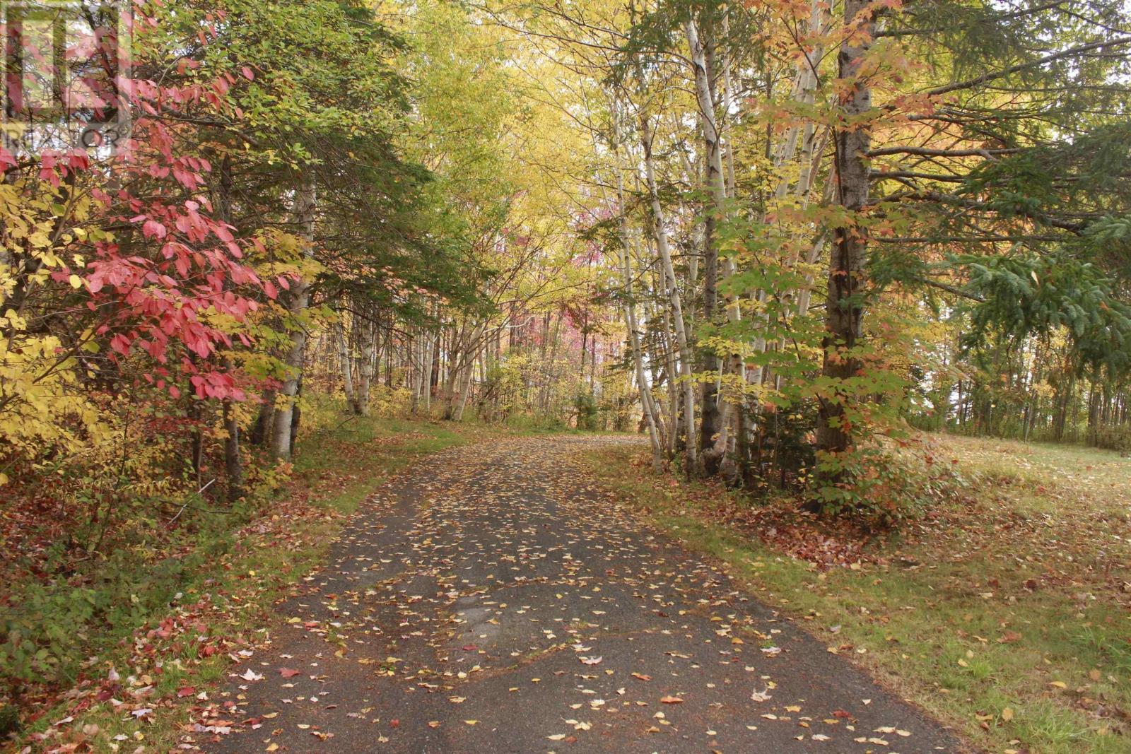 10783 Highway 105, Aberdeen, Nova Scotia  B0E 3M0 - Photo 9 - 202526530