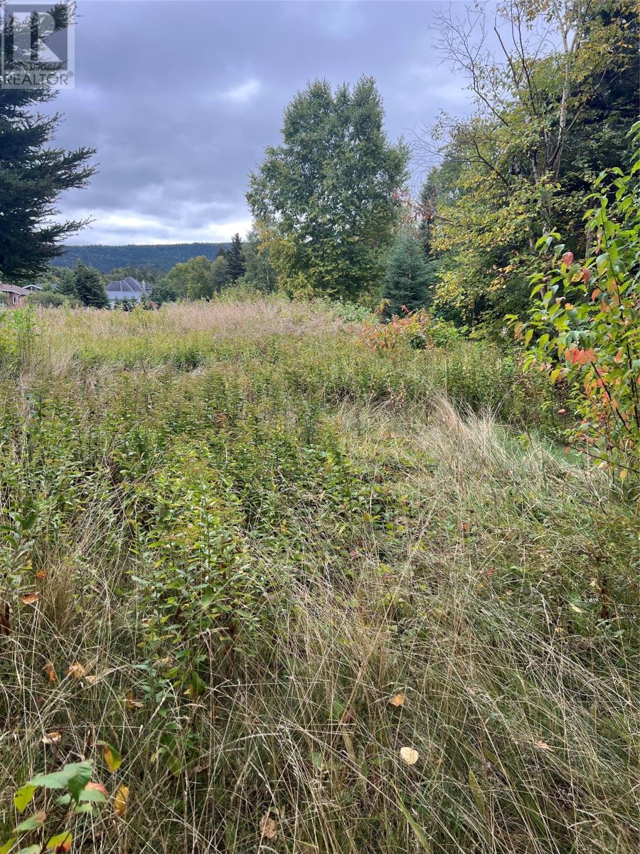 106 A Midland Row, Pasadena, Newfoundland & Labrador  A0L 1K0 - Photo 2 - 1292676