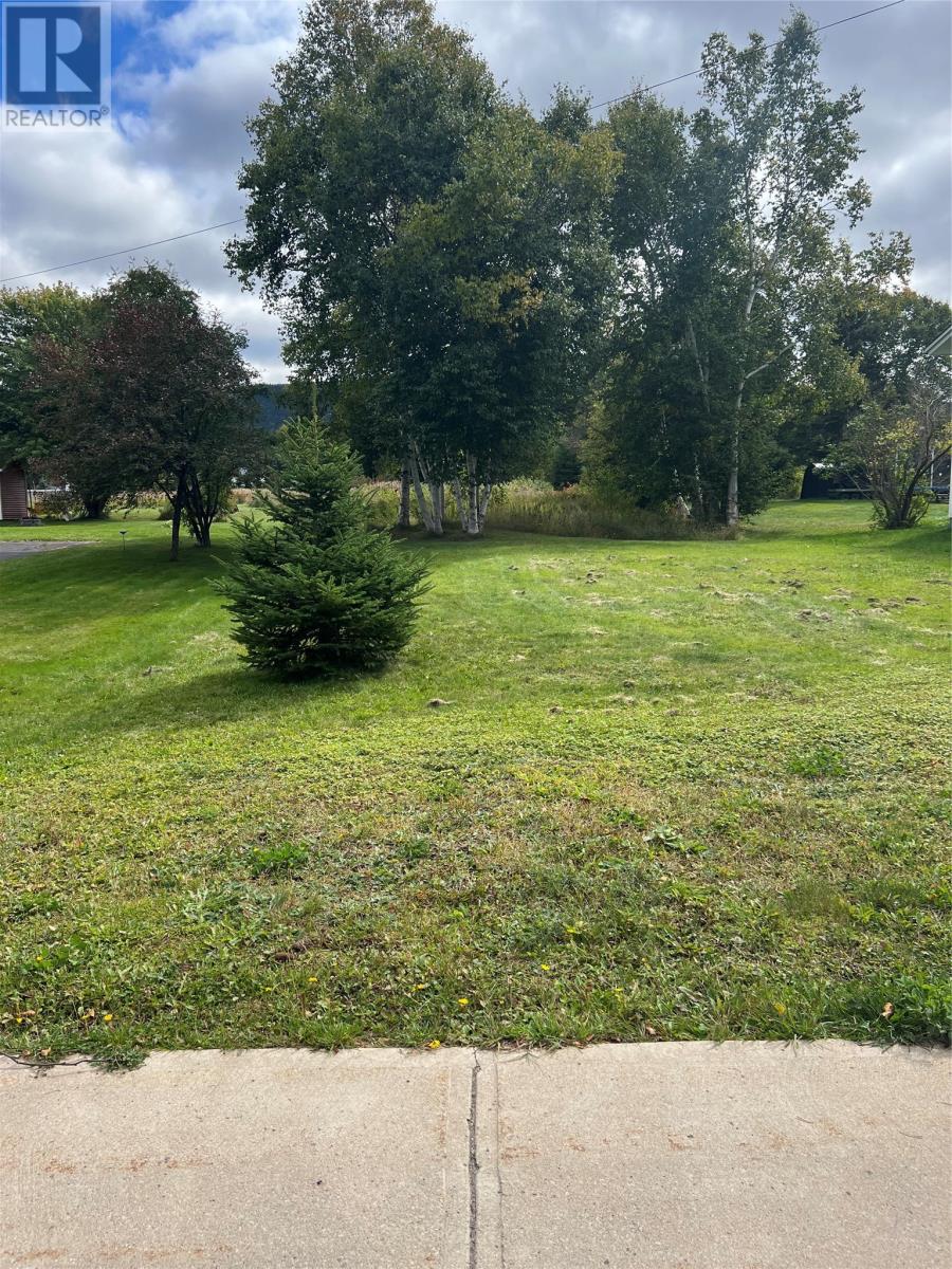 106 A Midland Row, Pasadena, Newfoundland & Labrador  A0L 1K0 - Photo 4 - 1292676