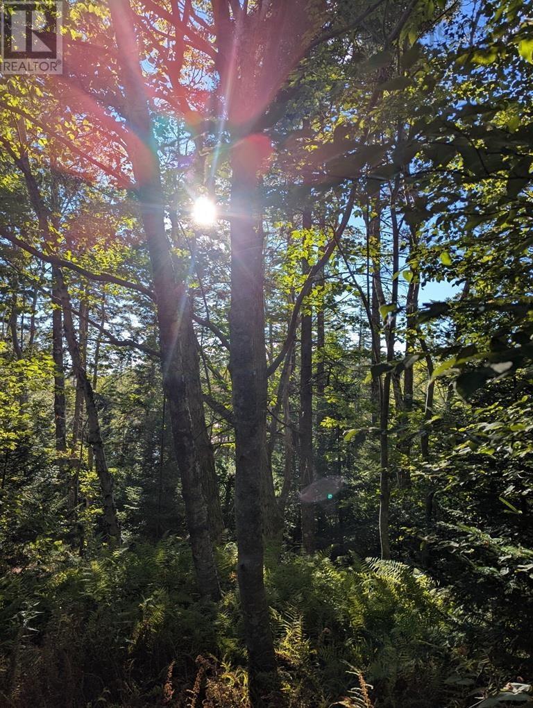 1a 170 Pace Lake Drive, Musquodoboit Harbour, Nova Scotia  B0J 2L0 - Photo 13 - 202527465