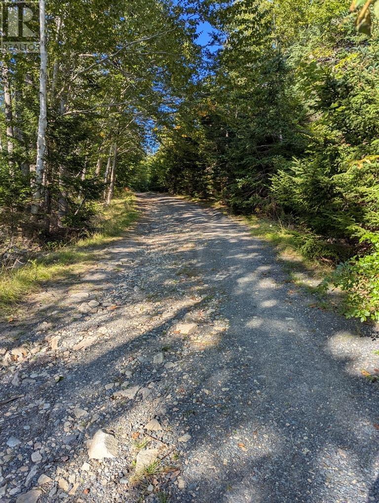 1a 170 Pace Lake Drive, Musquodoboit Harbour, Nova Scotia  B0J 2L0 - Photo 9 - 202527465