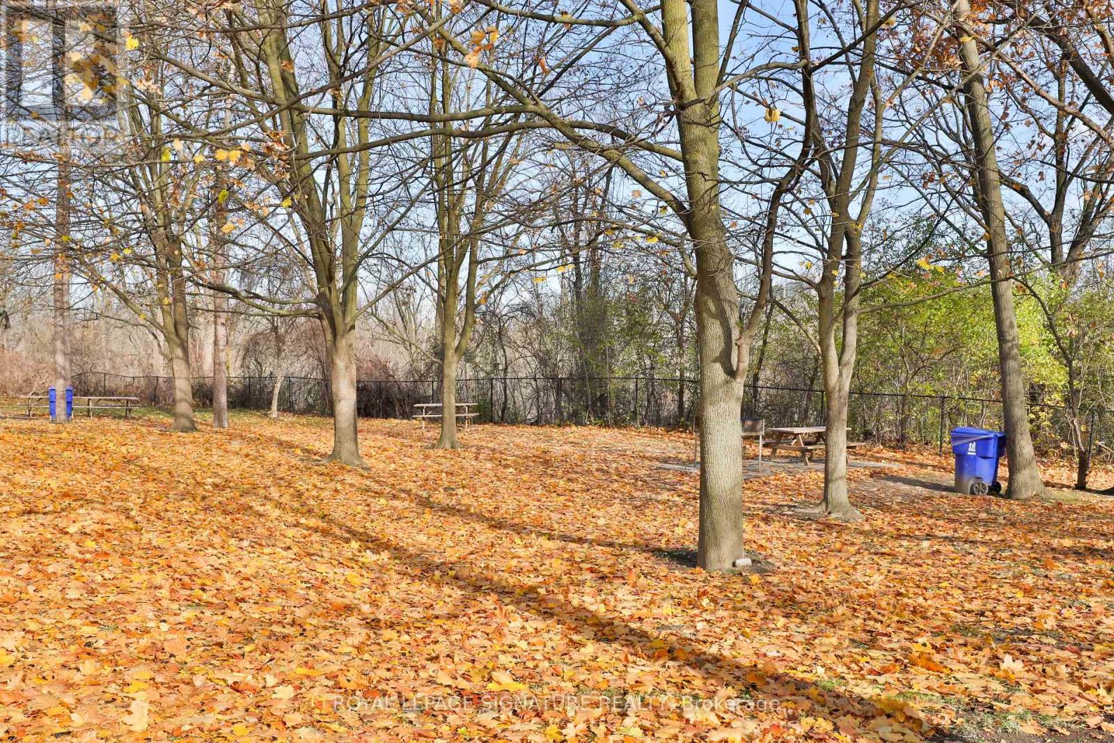 308 - 335 Driftwood Avenue, Toronto, Ontario  M3N 2P3 - Photo 23 - W12551862