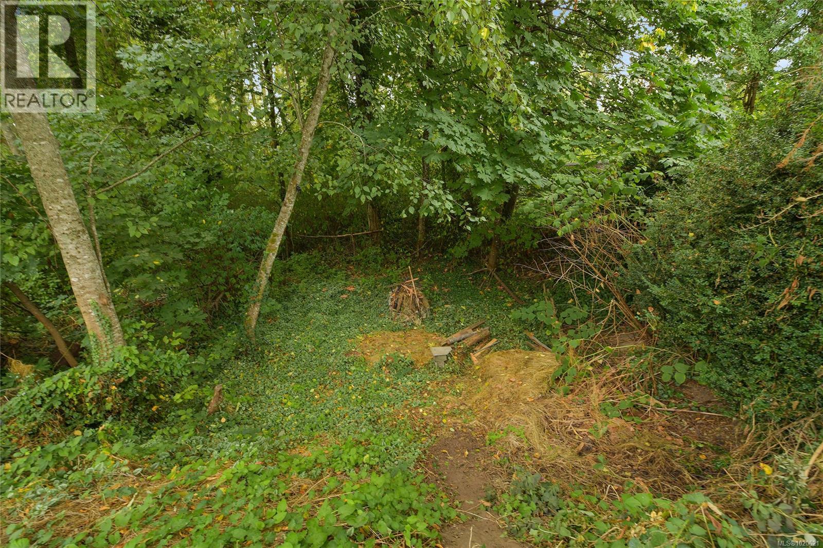 724 Park Pl, Duncan, British Columbia V9L 2J5 - Photo 36 - 1020621