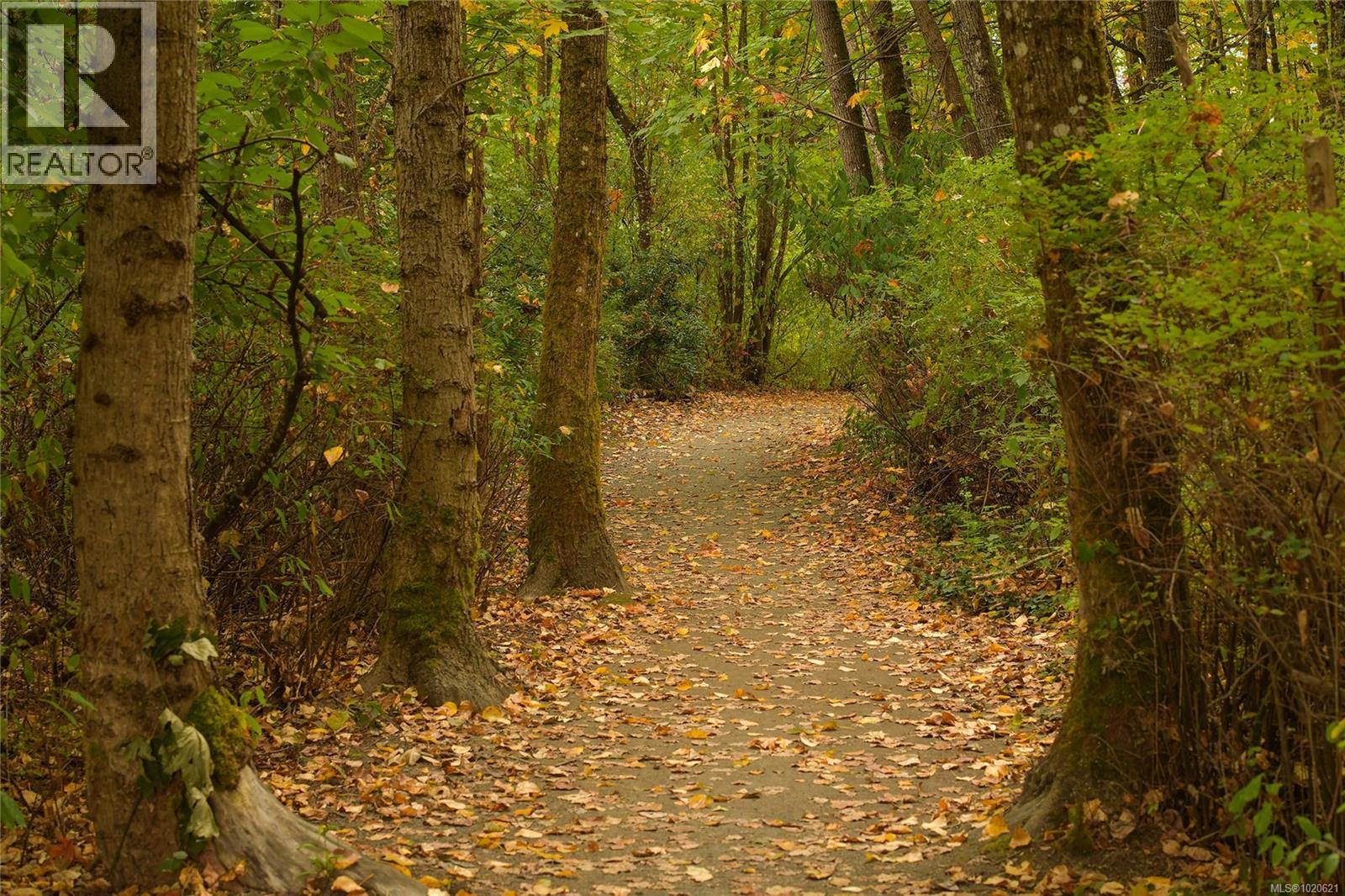 724 Park Pl, Duncan, British Columbia V9L 2J5 - Photo 38 - 1020621