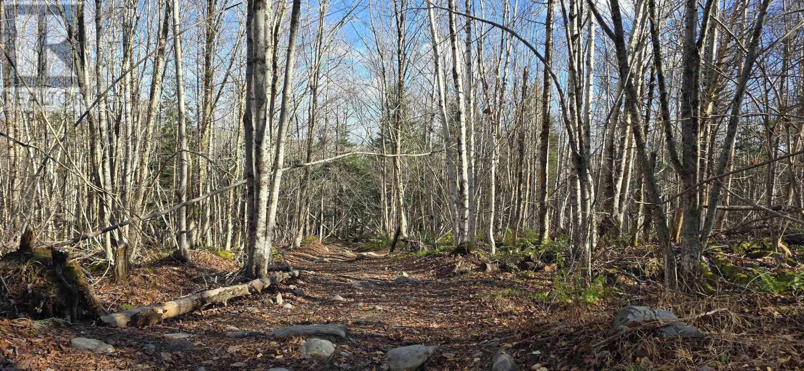 Lots R1 & R2 Beamish Road, Mount Uniacke, Nova Scotia  B0N 1Z0 - Photo 12 - 202527412