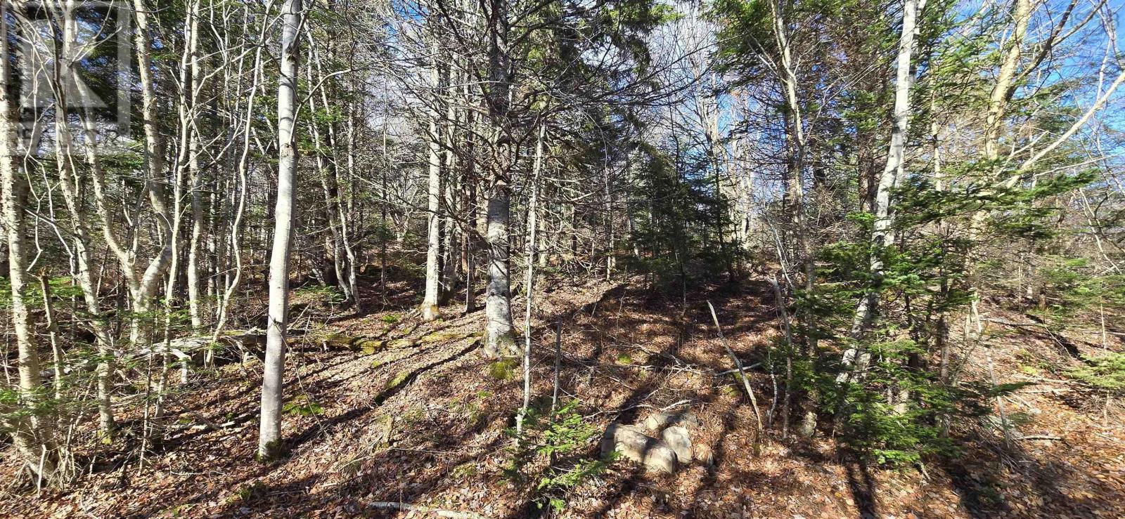 Lots R1 & R2 Beamish Road, Mount Uniacke, Nova Scotia  B0N 1Z0 - Photo 4 - 202527412