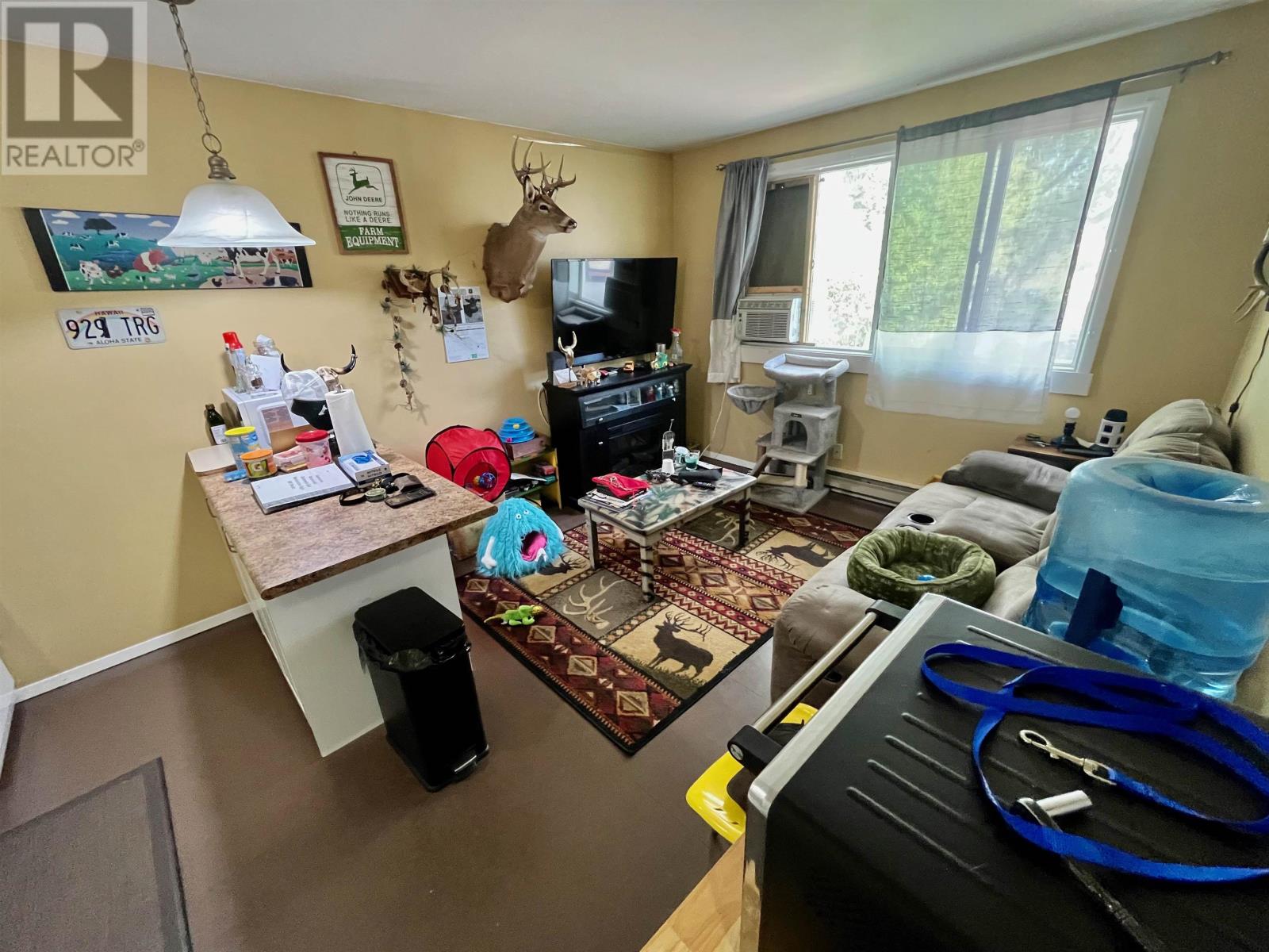 3 King St, Dryden, Ontario  P8N 1B2 - Photo 22 - TB252808