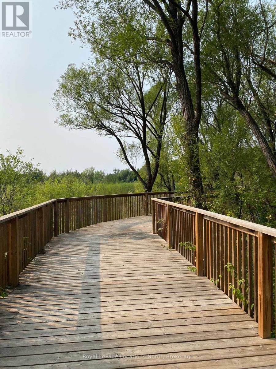 18 Hickory Street, Collingwood, Ontario  L9Y 3E4 - Photo 11 - S12552092