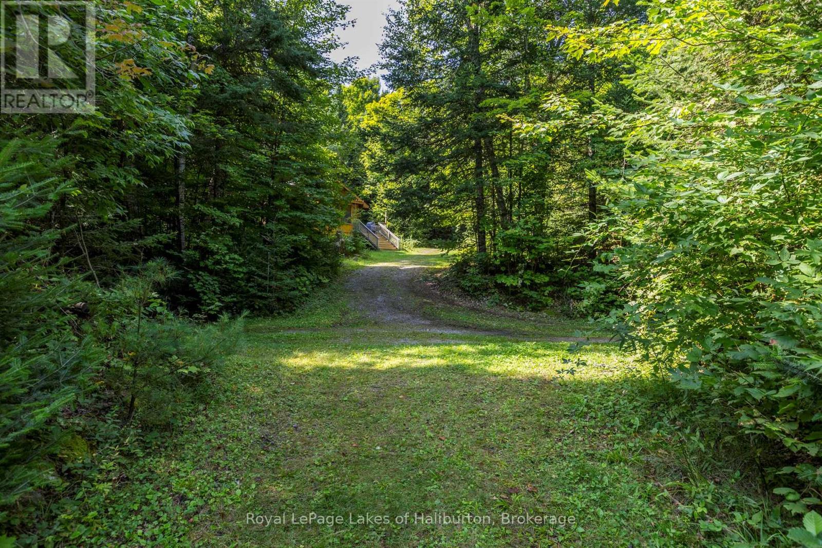 1880 Boldts Lane, Minden Hills, Ontario  K0M 2A1 - Photo 10 - X12403929