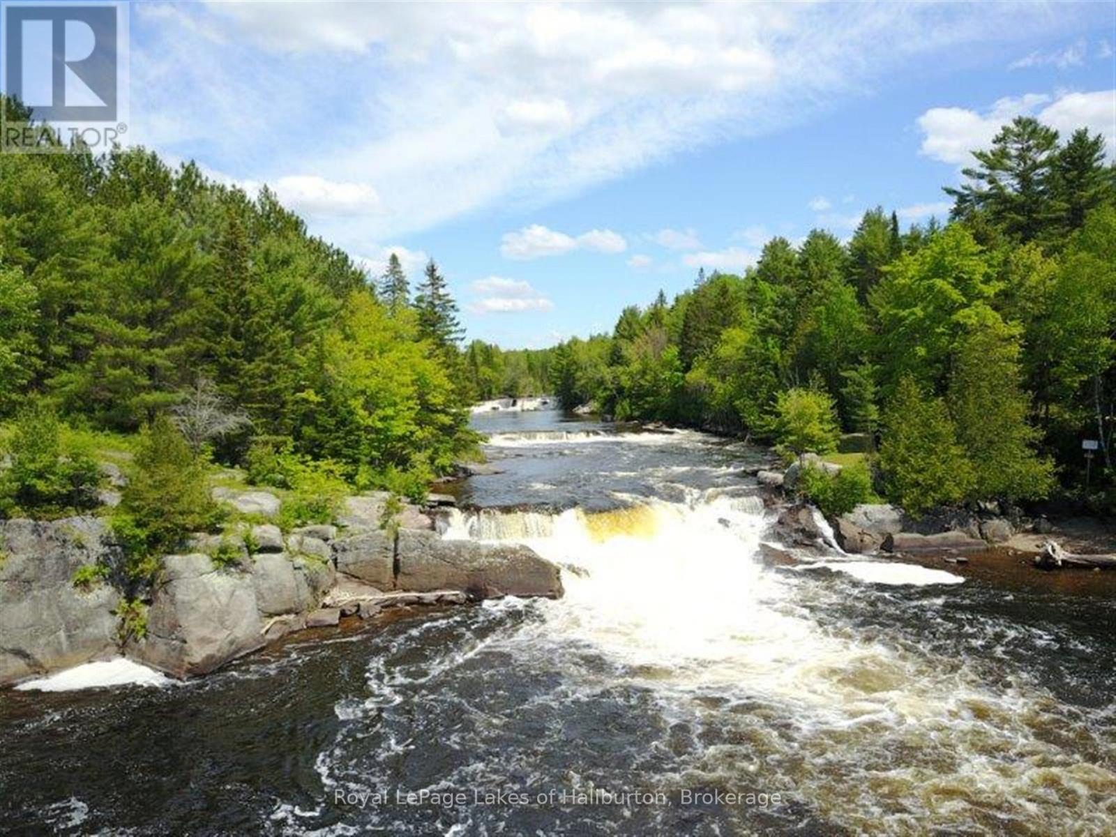 1880 Boldts Lane, Minden Hills, Ontario  K0M 2A1 - Photo 20 - X12403929