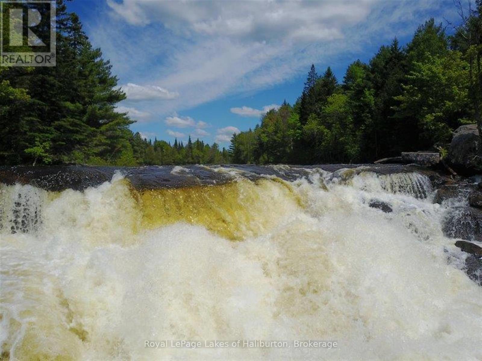 1880 Boldts Lane, Minden Hills, Ontario  K0M 2A1 - Photo 19 - X12403929