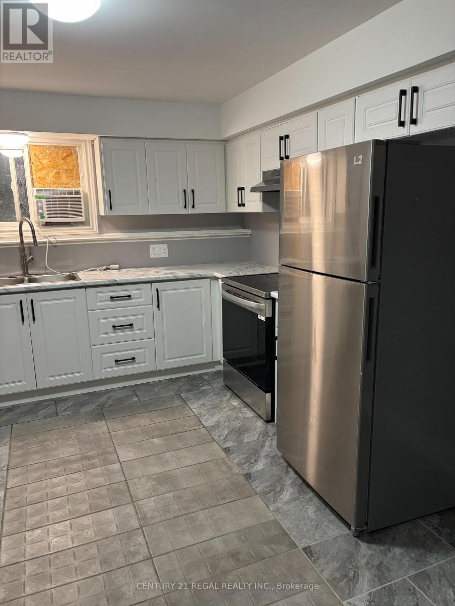 Lower Level - 171 Centre Street N, Oshawa, Ontario  L1G 4C4 - Photo 3 - E12547316