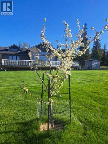 112 Meadow Ponds, Rural Clearwater County, Alberta  T4T 1A7 - Photo 35 - A2251243
