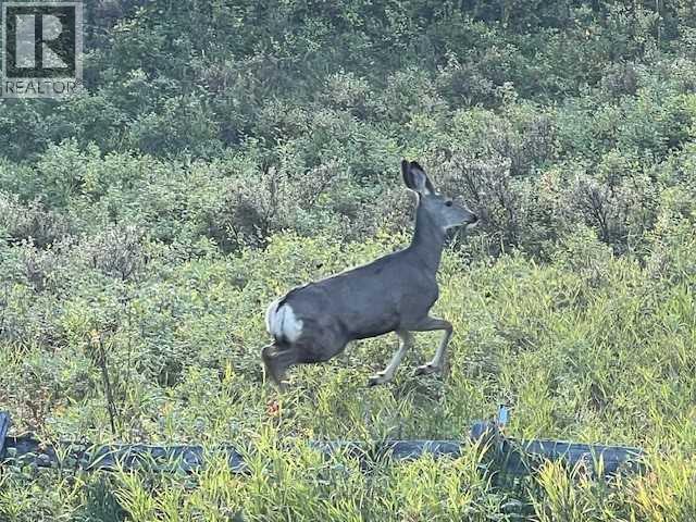 44 Riviera Court, Cochrane, Alberta  T4C 2V8 - Photo 46 - A2269159