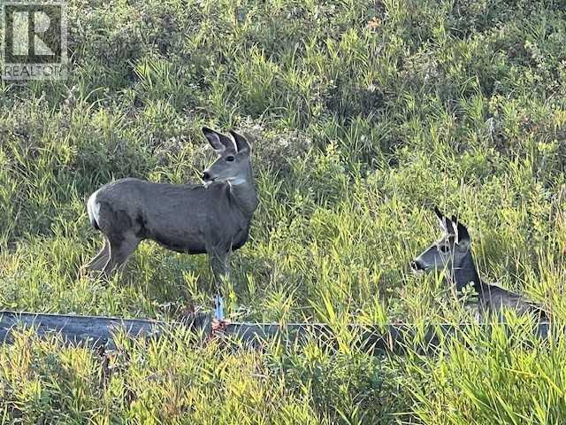 44 Riviera Court, Cochrane, Alberta  T4C 2V8 - Photo 45 - A2269159
