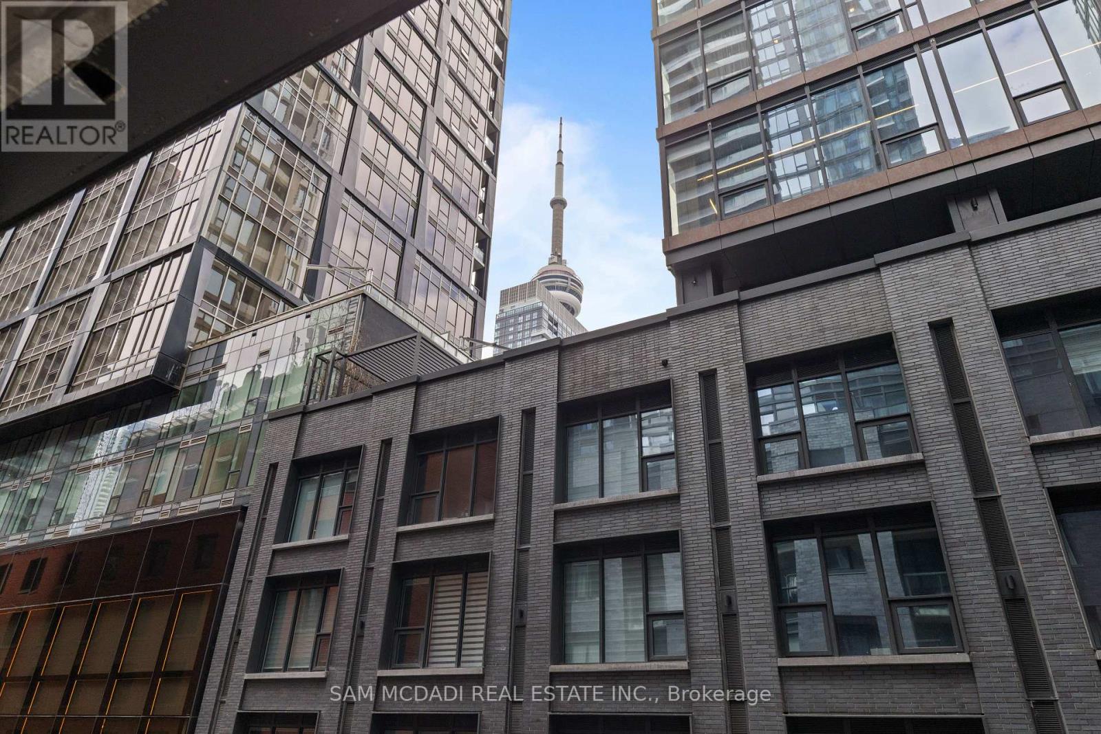 310 - 115 Blue Jays Way, Toronto, Ontario  M5V 0N4 - Photo 22 - C12552434