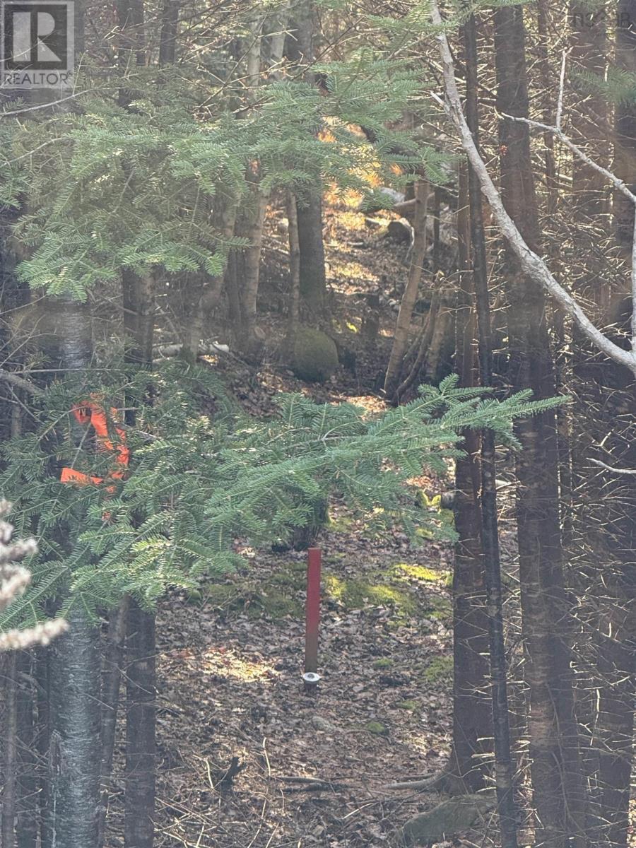 Lot Highway 331, Petite Rivière, Nova Scotia  B4V 5Y6 - Photo 2 - 202528143