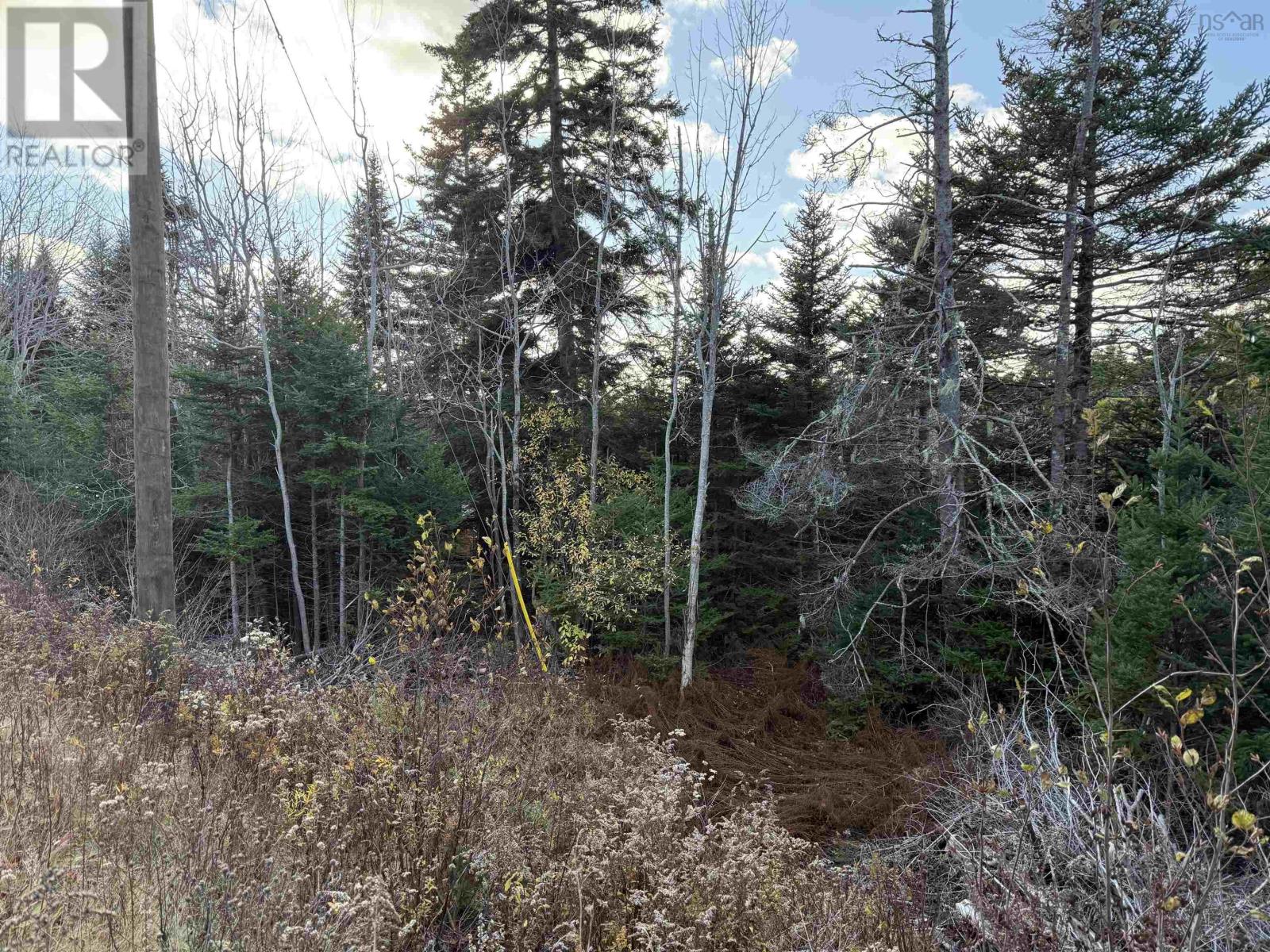 Lot Highway 331, Petite Rivière, Nova Scotia  B4V 5Y6 - Photo 3 - 202528143