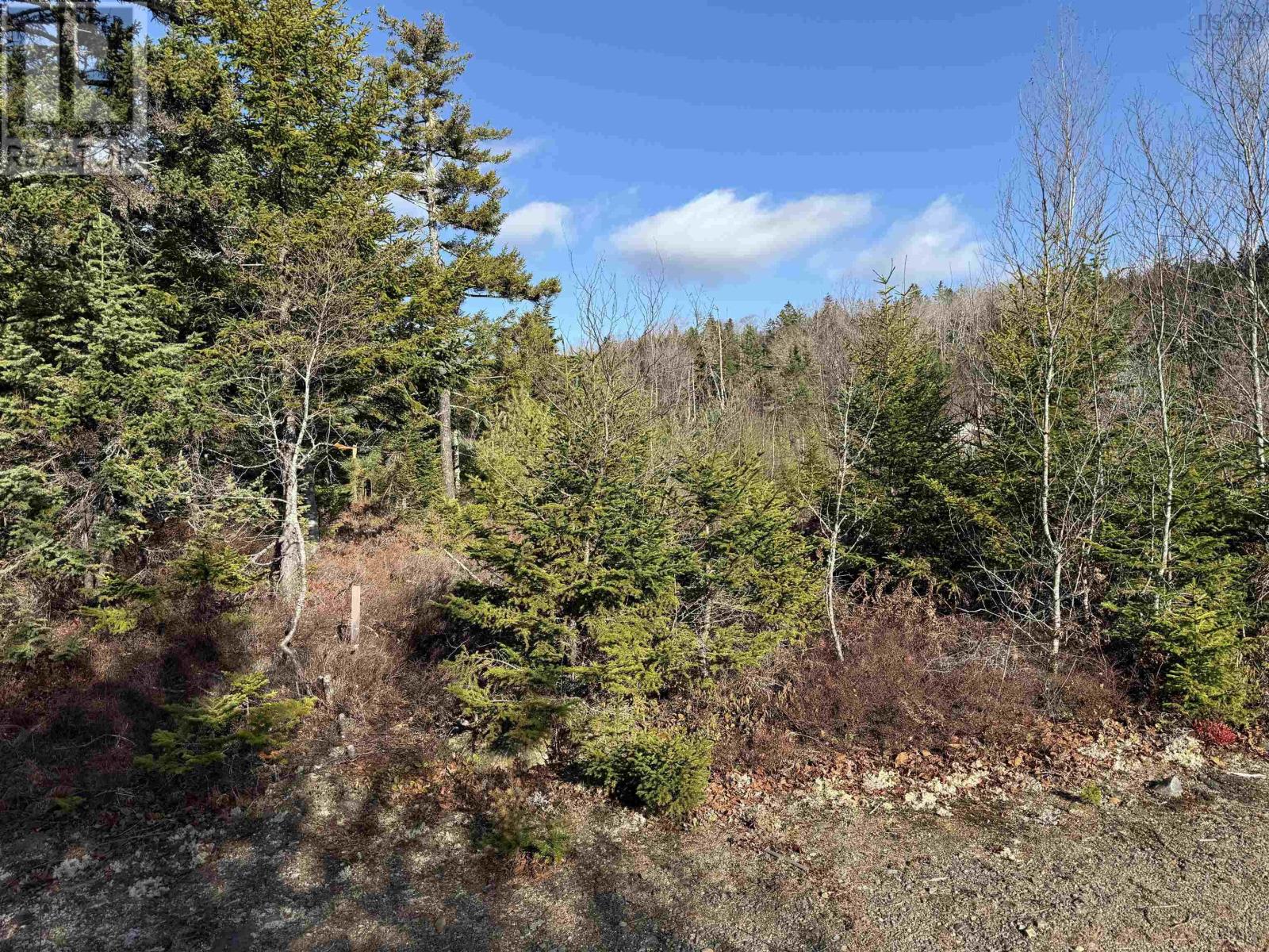 Lot Highway 331, Petite Rivière, Nova Scotia  B4V 5Y6 - Photo 4 - 202528143