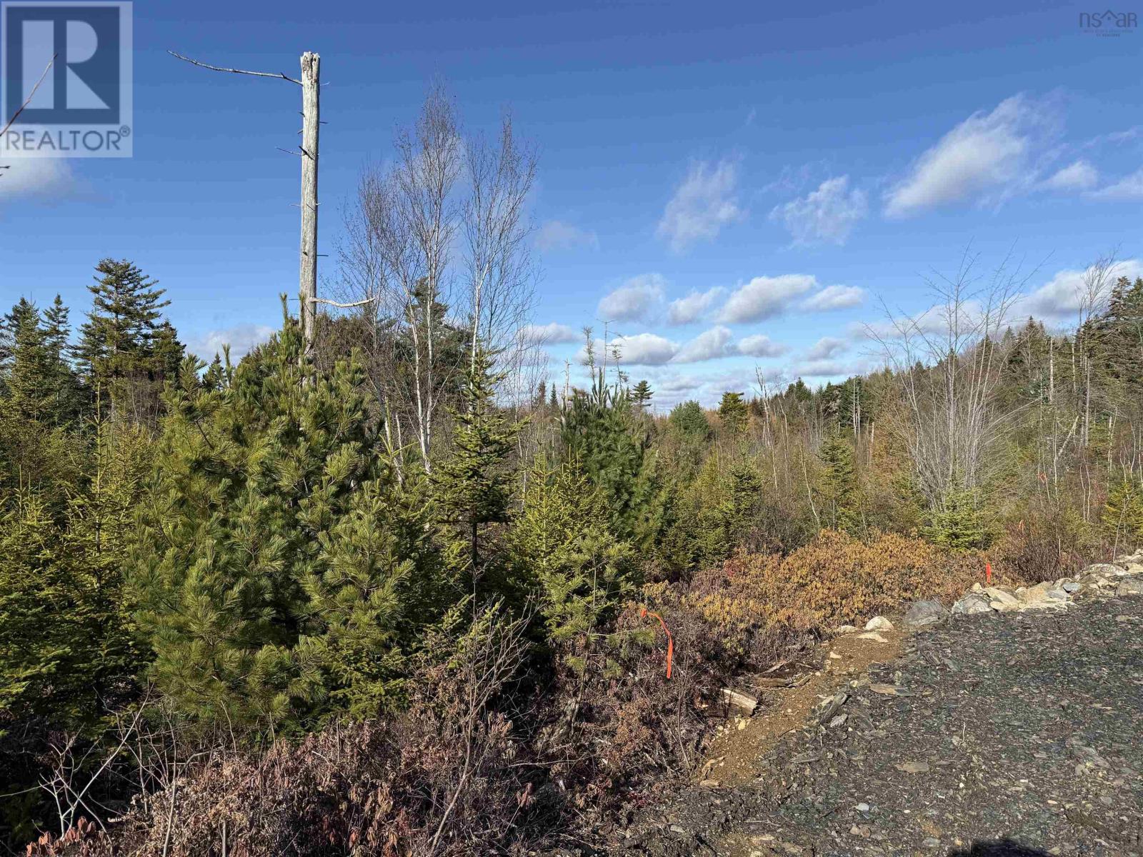 Lot Highway 331, Petite Rivière, Nova Scotia  B4V 5Y6 - Photo 5 - 202528143