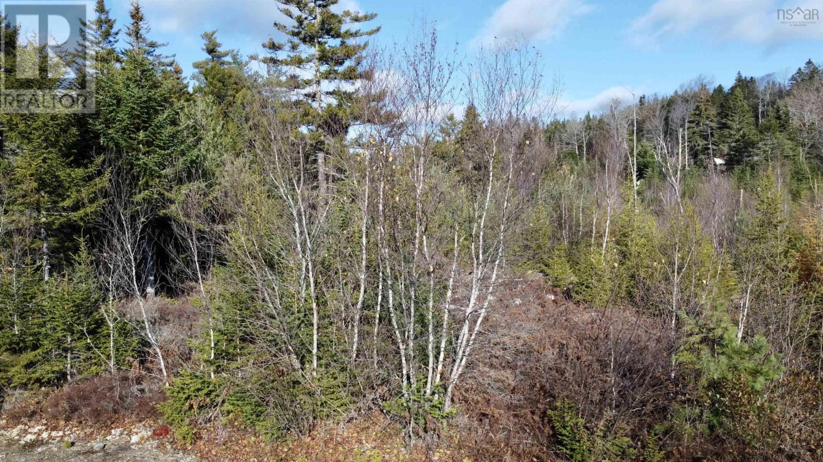 Lot Highway 331, Petite Rivière, Nova Scotia  B4V 5Y6 - Photo 6 - 202528143