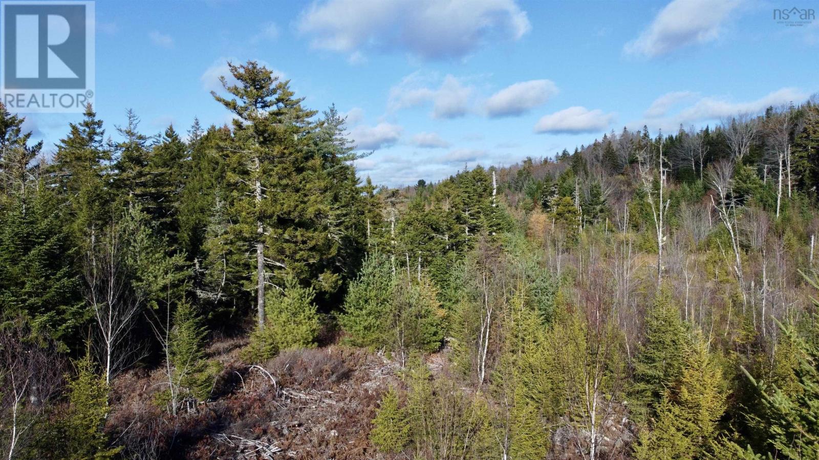 Lot Highway 331, Petite Rivière, Nova Scotia  B4V 5Y6 - Photo 7 - 202528143