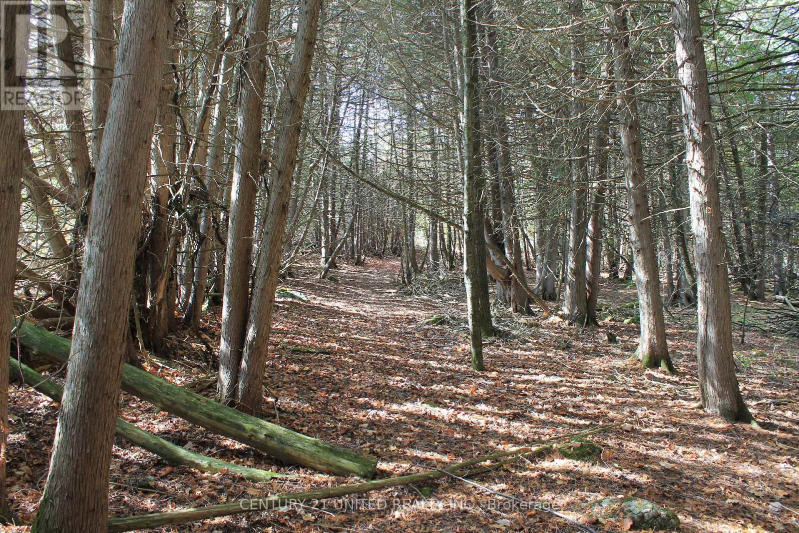 257 10th Line Rd South Dummer Road, Douro-Dummer, Ontario  K0L 2V0 - Photo 13 - X12552588