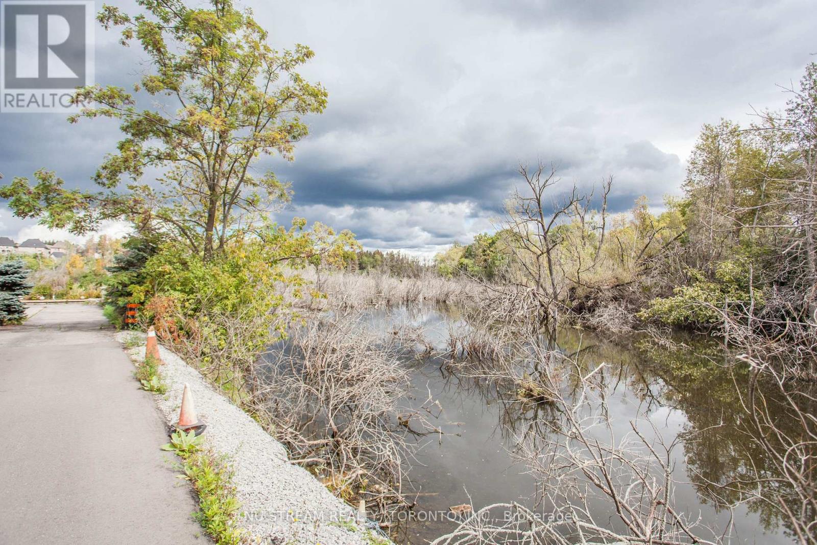72 Snively Street, Richmond Hill, Ontario  L4E 3E6 - Photo 10 - N12552510