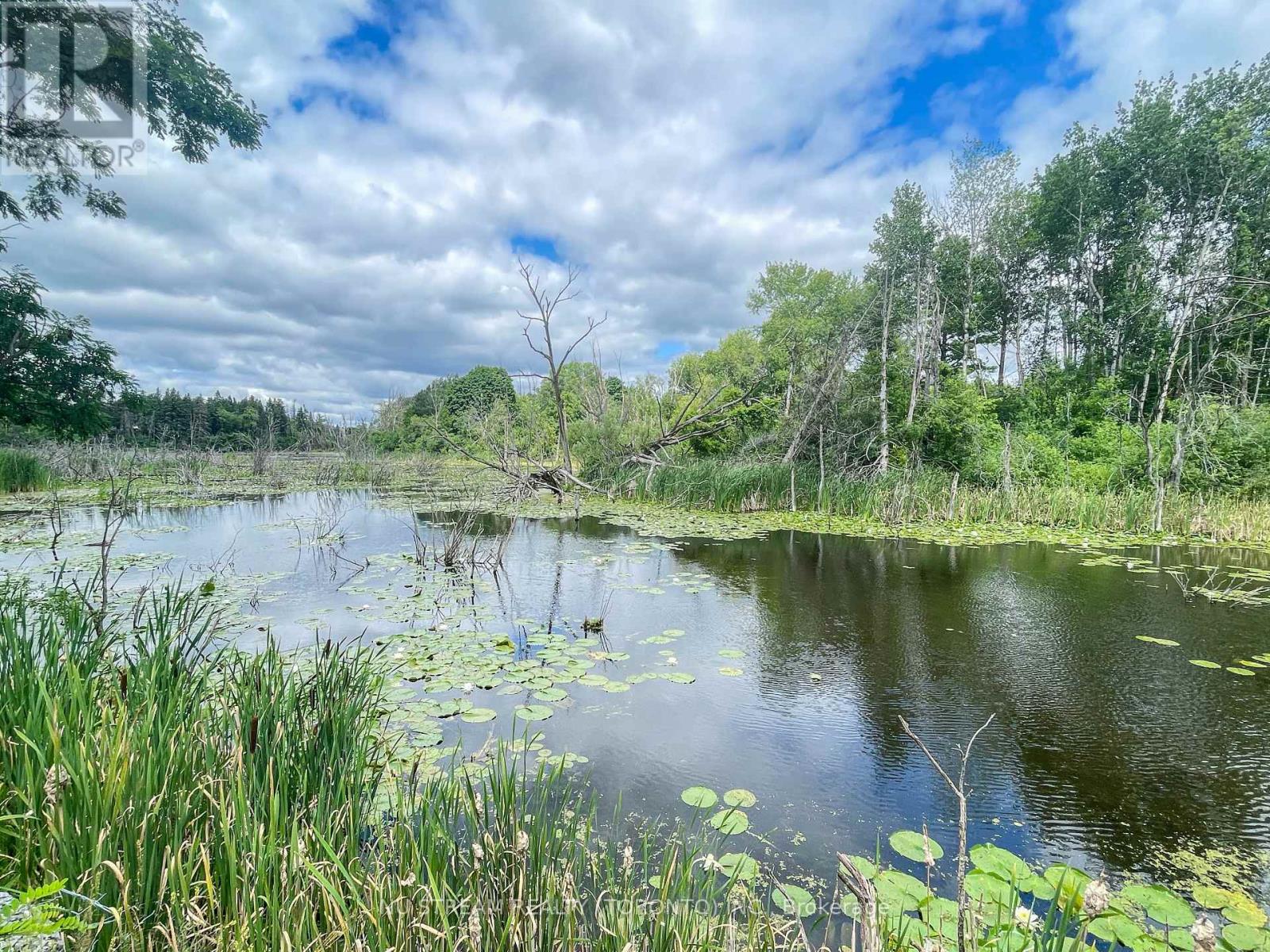 72 Snively Street, Richmond Hill, Ontario  L4E 3E6 - Photo 11 - N12552510