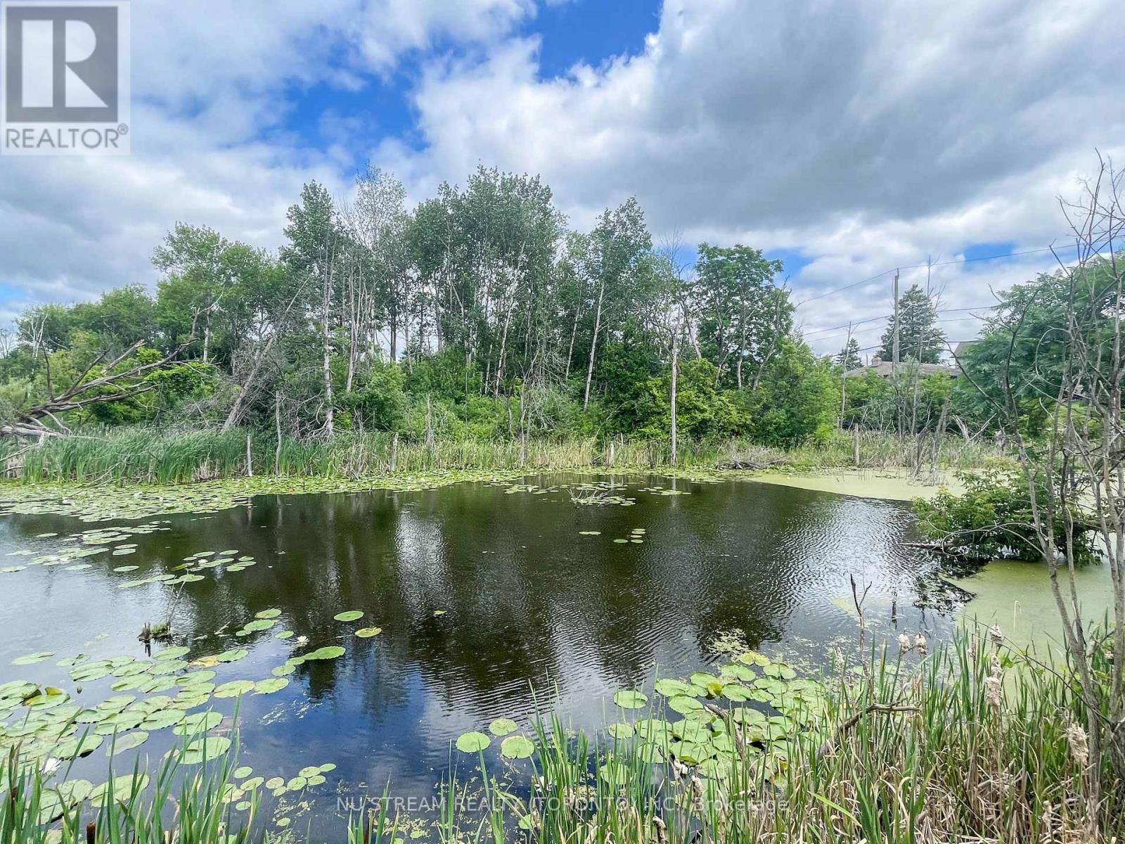 72 Snively Street, Richmond Hill, Ontario  L4E 3E6 - Photo 12 - N12552510