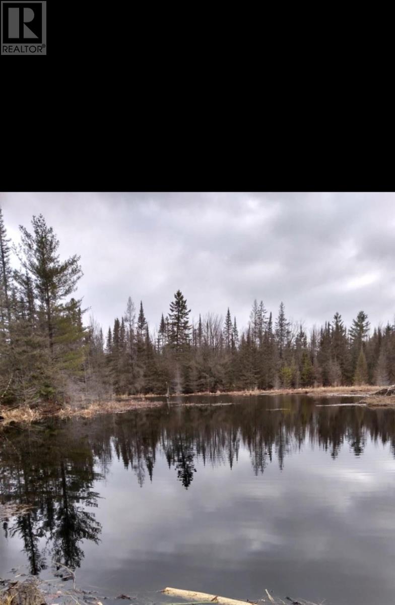 Lorem Ipsum Dolor Sit Amet, Conse, Huron Shores, Ontario  P0R  - Photo 28 - DEMO28837163