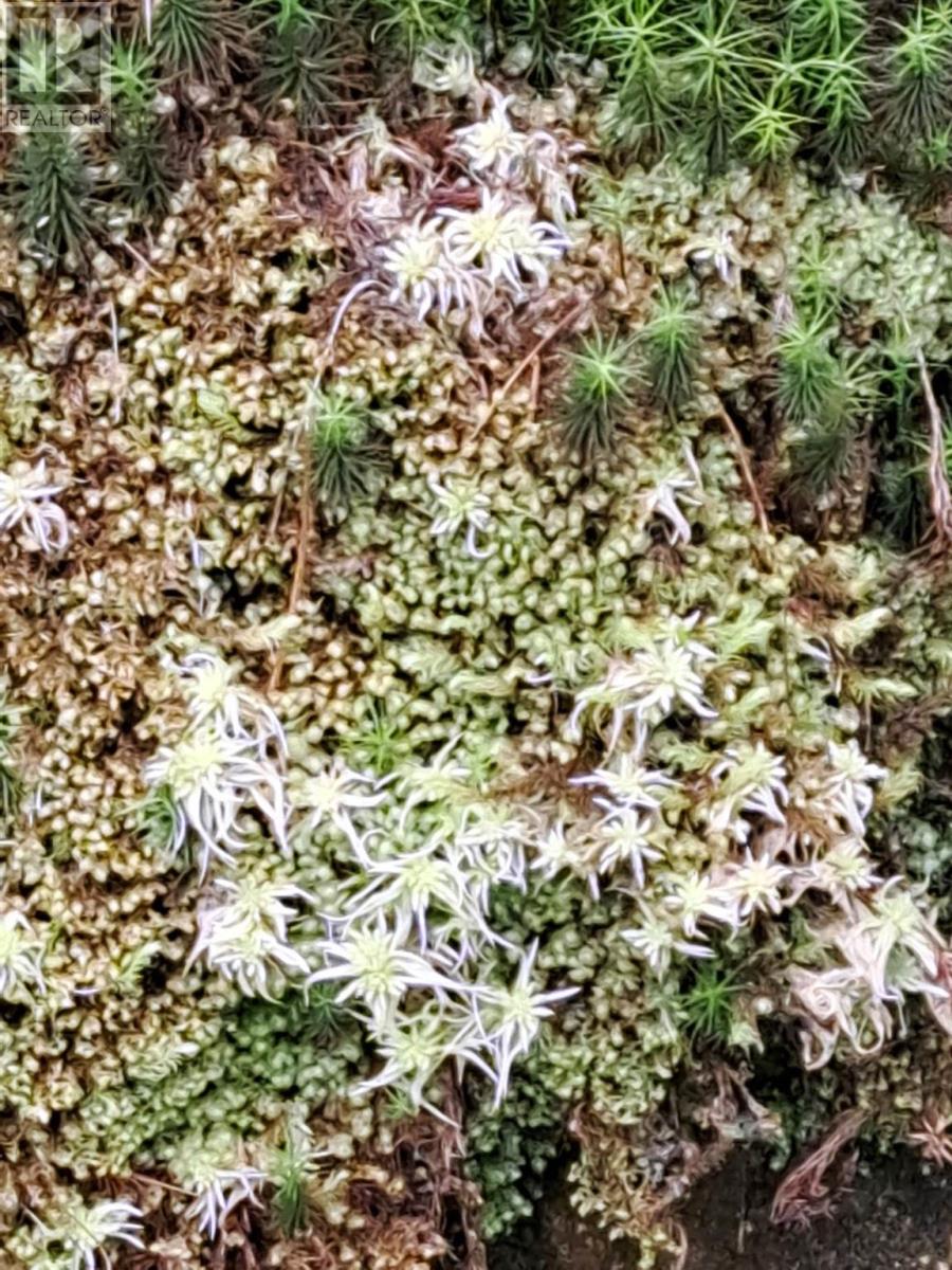 Lorem Ipsum Dolor Sit Amet, Conse, Huron Shores, Ontario  P0R  - Photo 29 - DEMO28837163