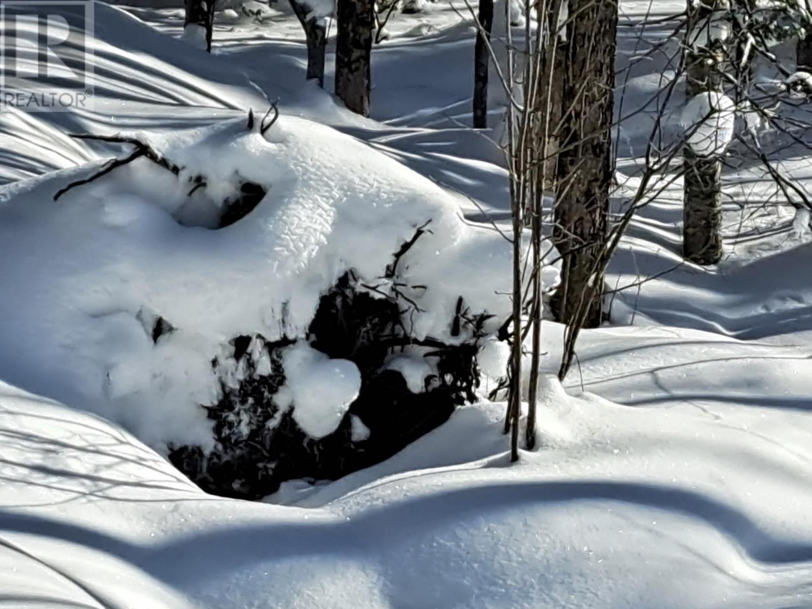 Lorem Ipsum Dolor Sit Amet, Conse, Huron Shores, Ontario  P0R  - Photo 36 - DEMO28837163