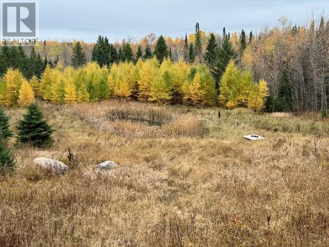 14794 17 Hwy E, Dryden, Ontario P8N 2Y4 - Photo 6 - TB253495