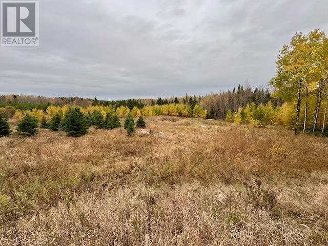 14794 17 Hwy E, Dryden, Ontario P8N 2Y4 - Photo 7 - TB253495