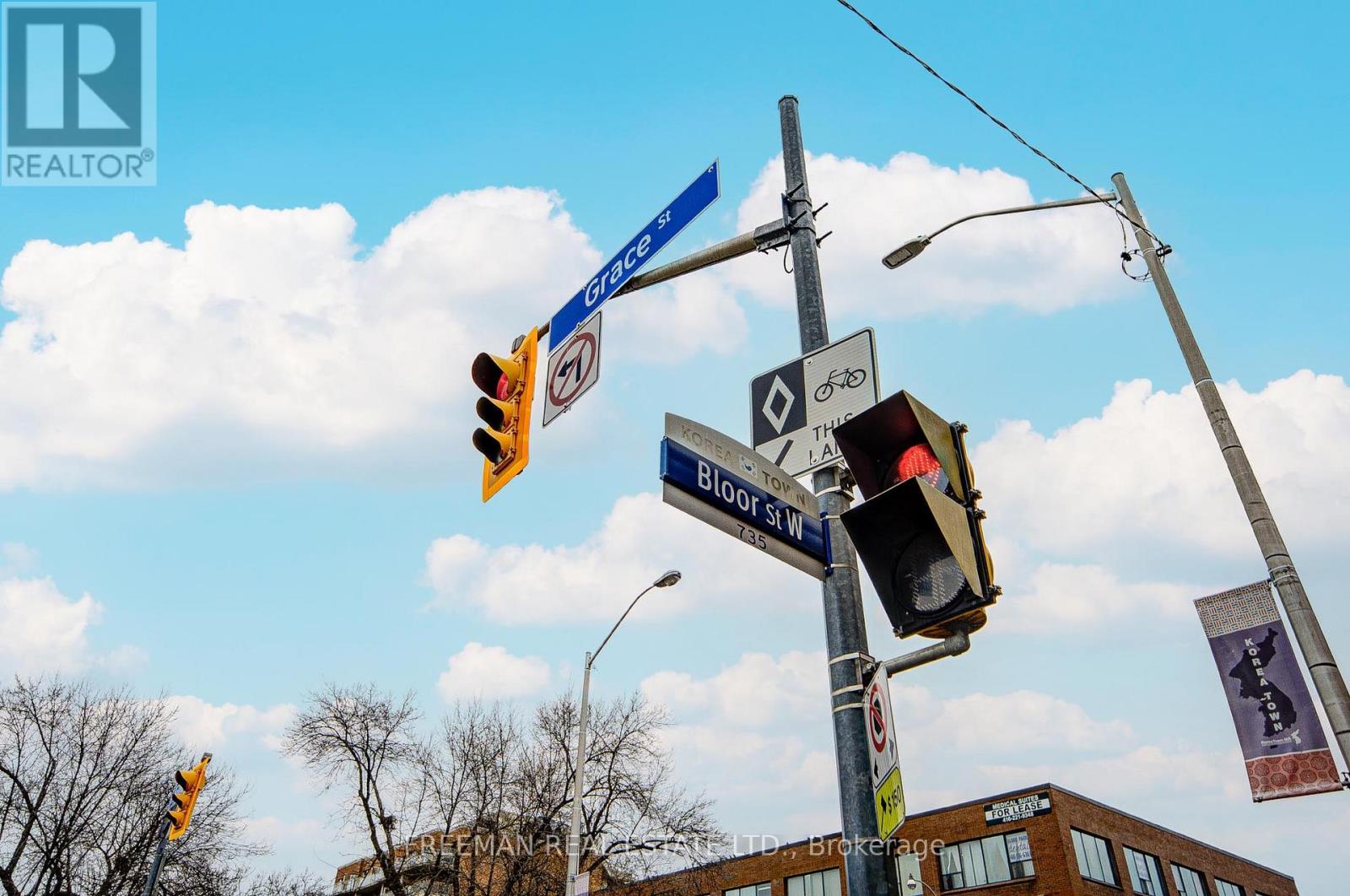 Bsmt - 470 Grace Street, Toronto, Ontario  M6G 3A9 - Photo 44 - C12552718