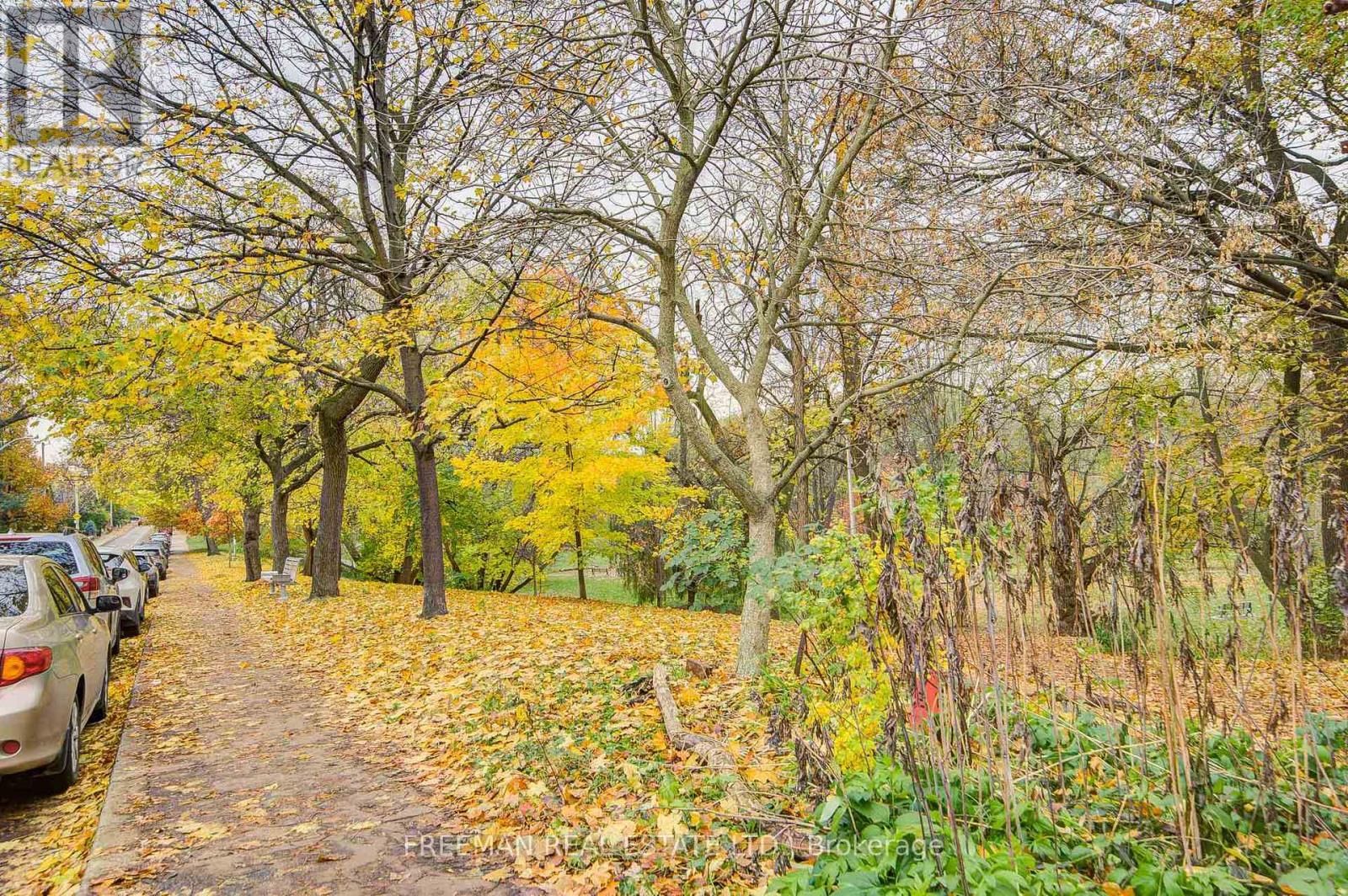 Bsmt - 470 Grace Street, Toronto, Ontario  M6G 3A9 - Photo 45 - C12552718