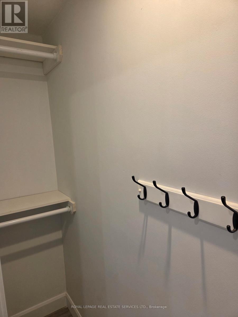 Lower - 126 Lawrence Avenue W, Toronto, Ontario  M5M 1A6 - Photo 14 - C12552746