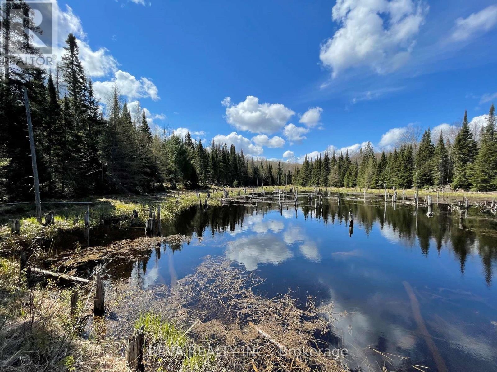 250 Lingenfelters Road, Nipissing, Ontario  P0H 2L0 - Photo 13 - X6195940