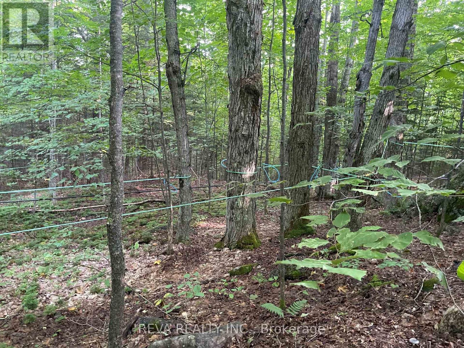 250 Lingenfelters Road, Nipissing, Ontario  P0H 2L0 - Photo 17 - X6195940