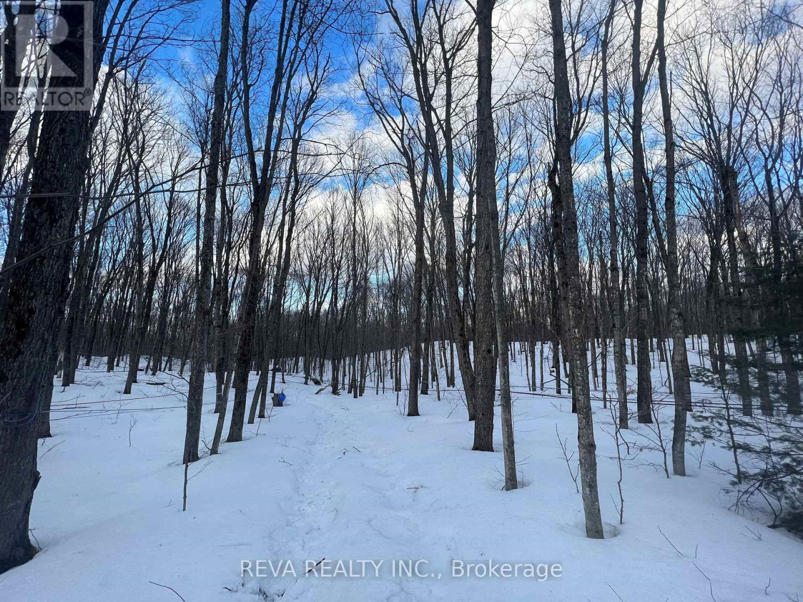 250 Lingenfelters Road, Nipissing, Ontario  P0H 2L0 - Photo 18 - X6195940