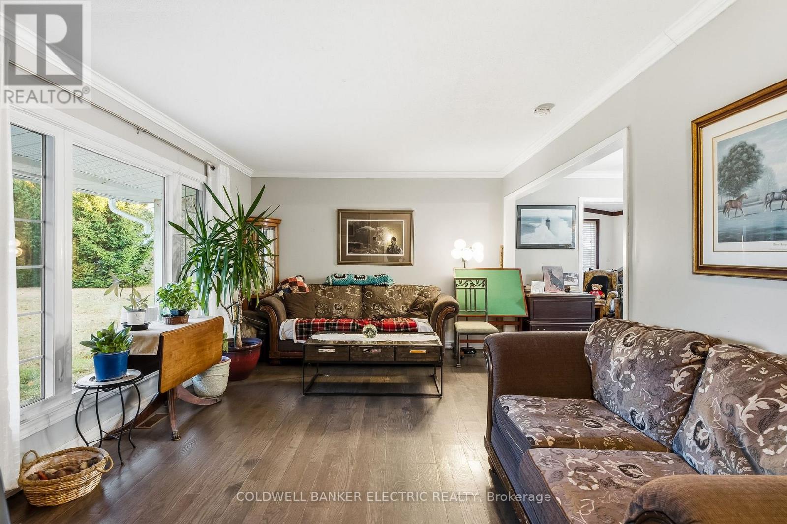 62 Airport Road, Addington Highlands, Ontario  K0H 2G0 - Photo 23 - X12552780