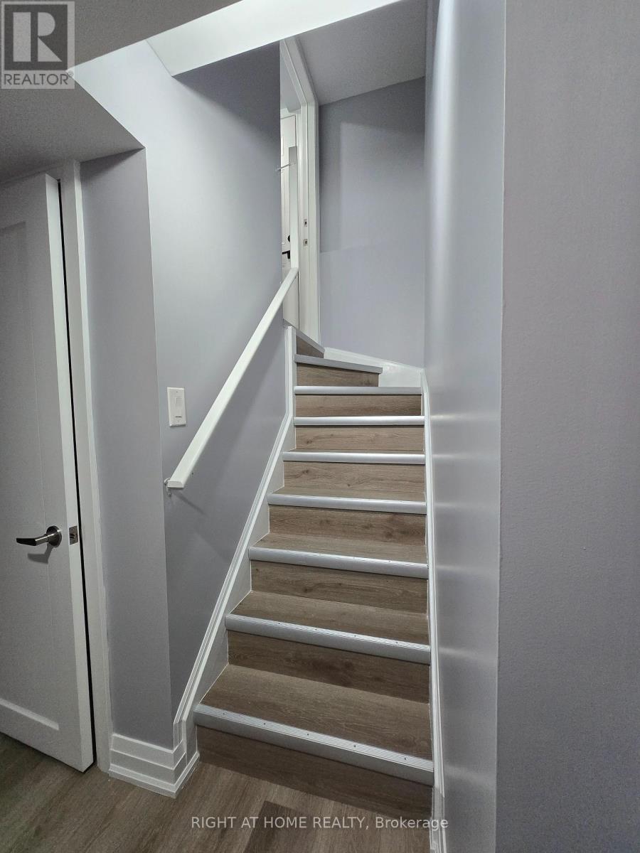 Basement - 31 Baby Pointe Trail, Brampton, Ontario  L7A 0W3 - Photo 3 - W12552742