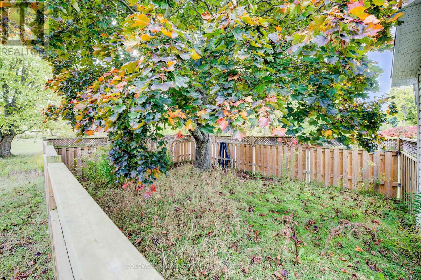 4074 Highway 3, Norfolk, Ontario  N3Y 4K4 - Photo 39 - X12487688